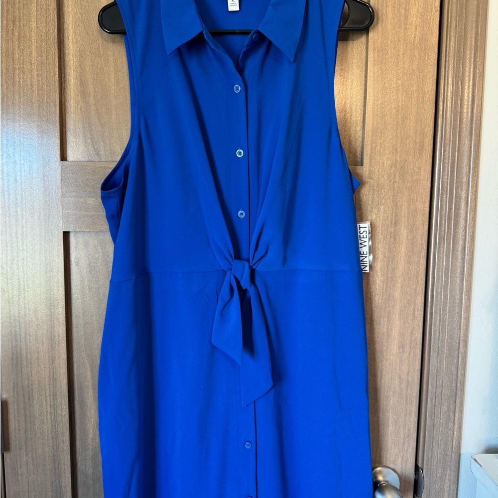 Blue Sleeveless Button-Down Dress